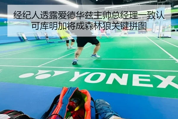 经纪人透露爱德华兹主帅总经理一致认可库明加将成森林狼关键拼图